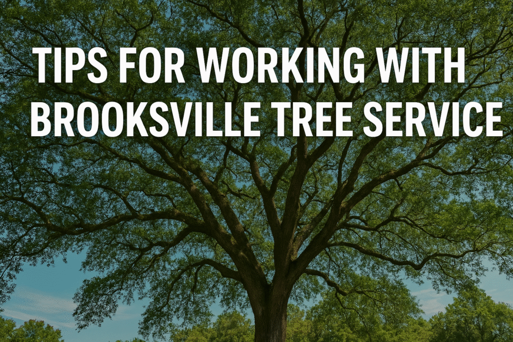 Tips for Working With Brooksville Tree Service